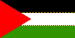 Palestinian Territories Flag